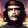 Che Guevara : itinéraire d'un révolutionnaire
